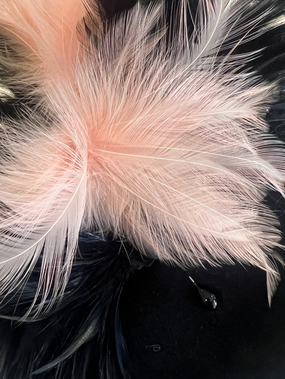 Vintage Black and Pink veiled Feather Fascinator - Picture 3 of 6
